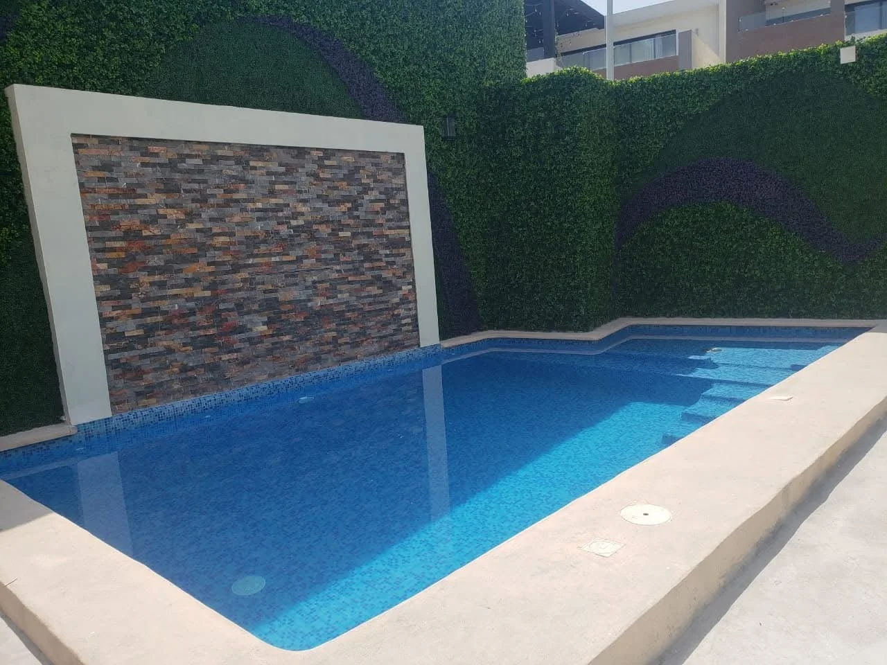 Proyecto 173